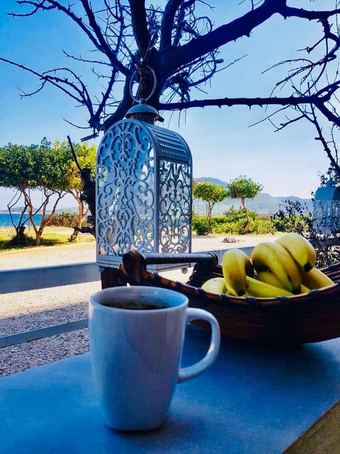 Vravrona Beach Apartments Artemida  Buitenkant foto